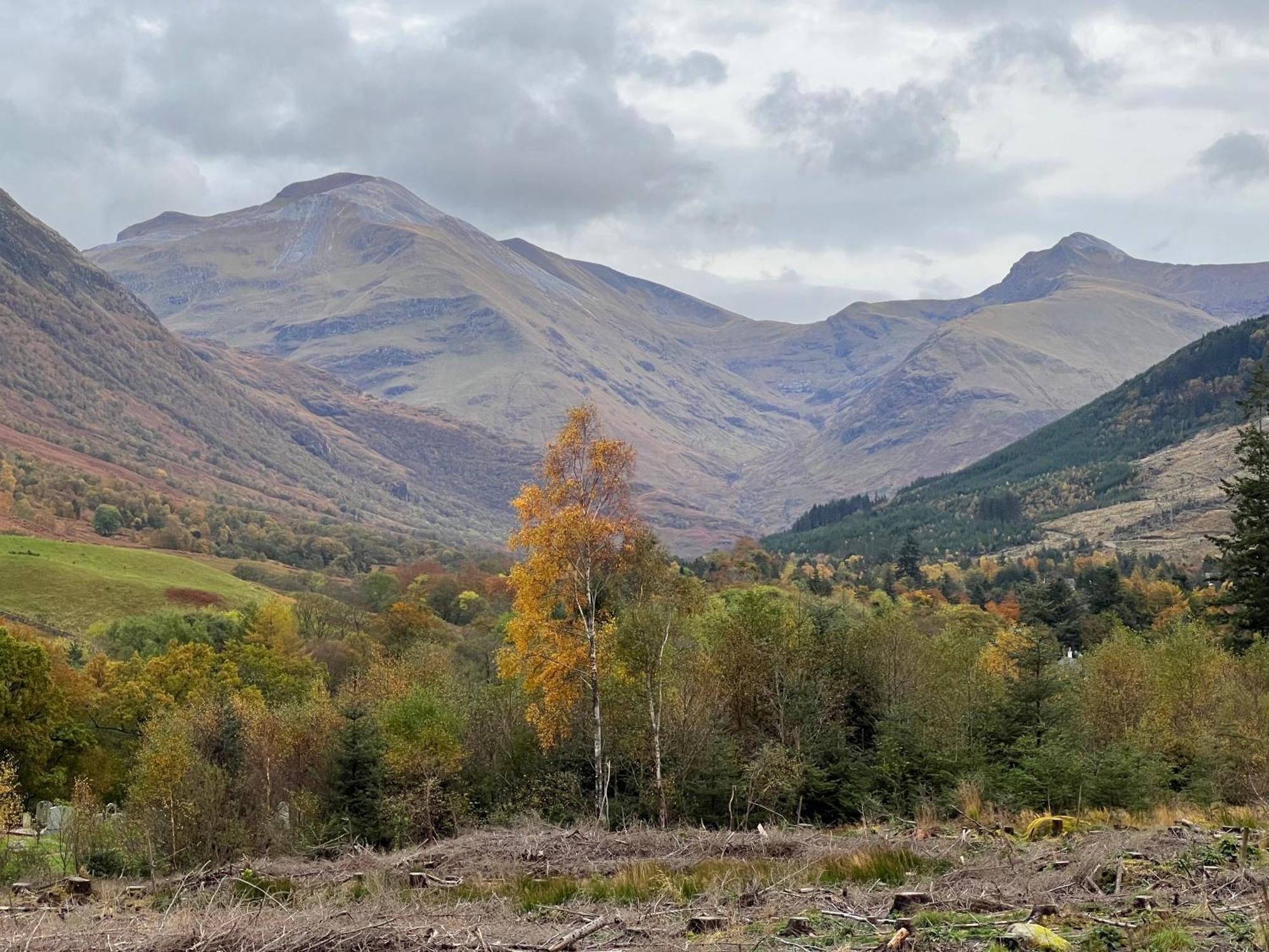 Stronchreggan View Guest House Fort William Dış mekan fotoğraf